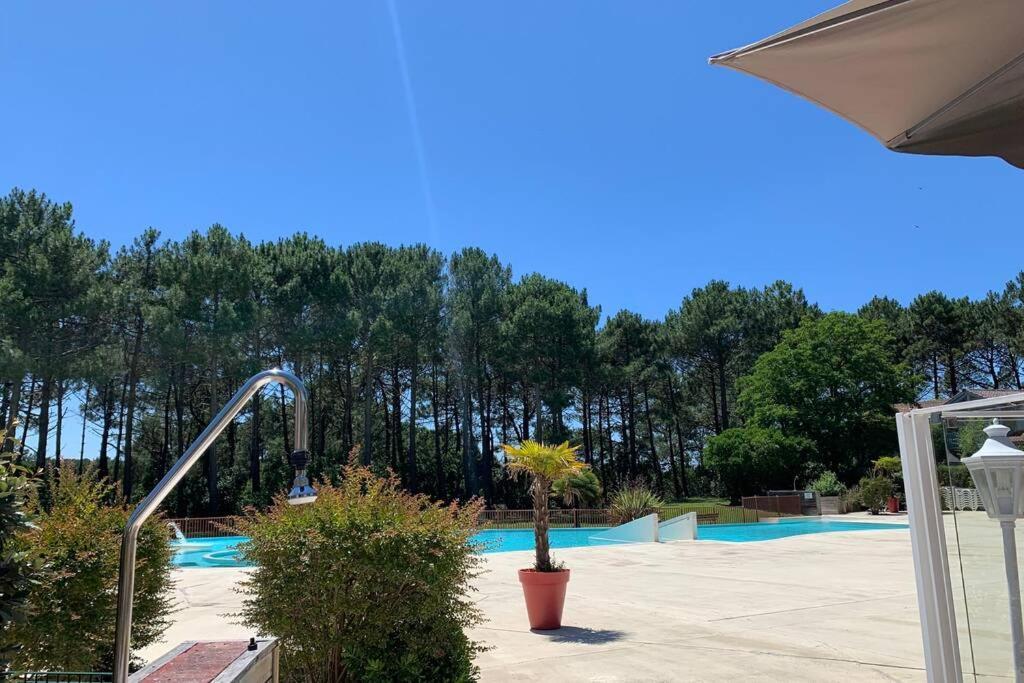 Appartement T2 1Chambre 4-5 Personnes - Lacanau - Piscine - Vue Sur Le Golf Eksteriør billede